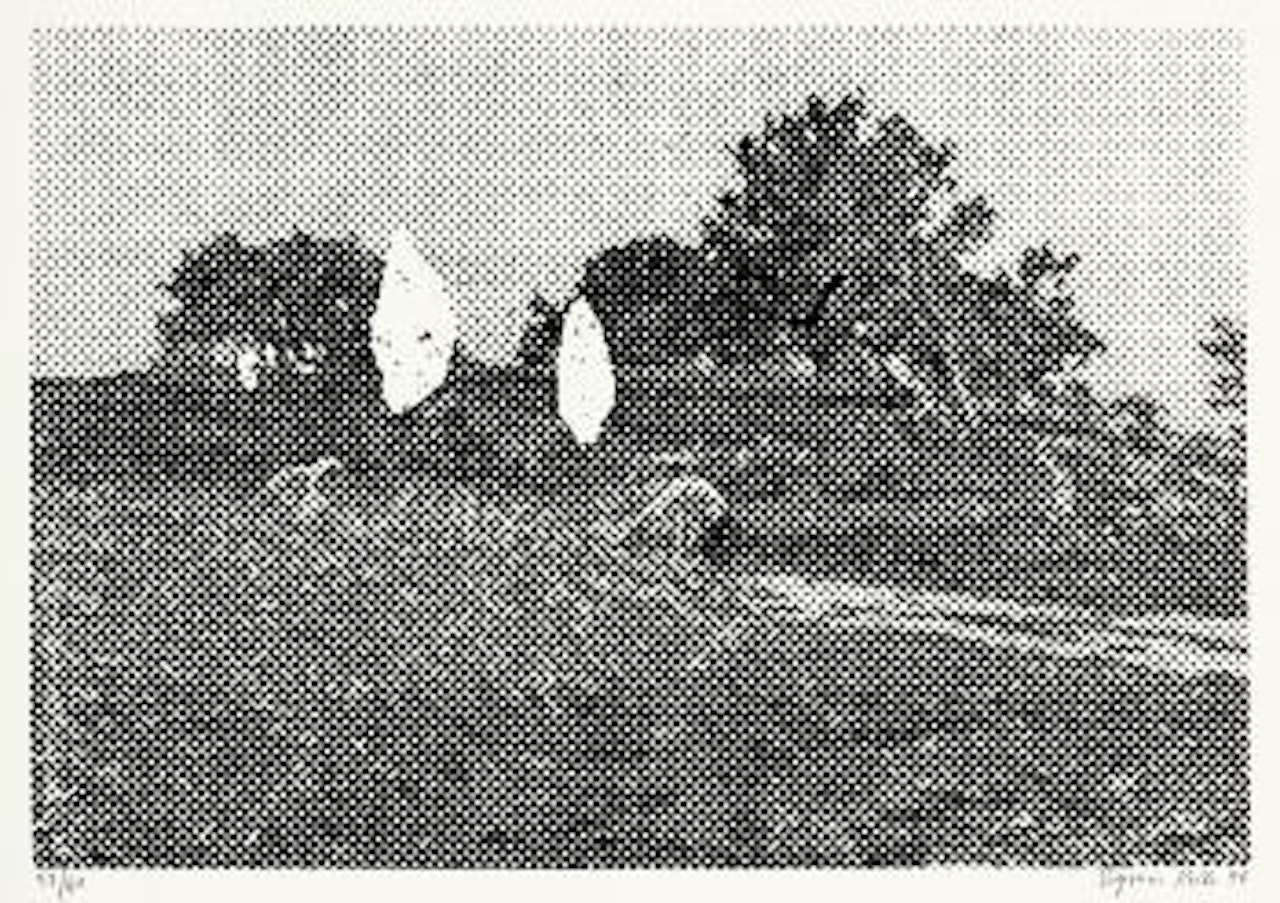 Topp by Sigmar Polke