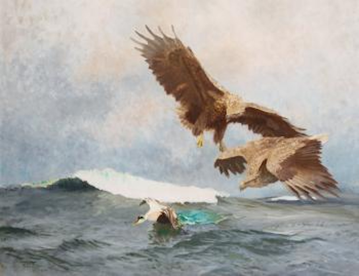 Two sea eagles and an eider duck by Bruno Liljefors