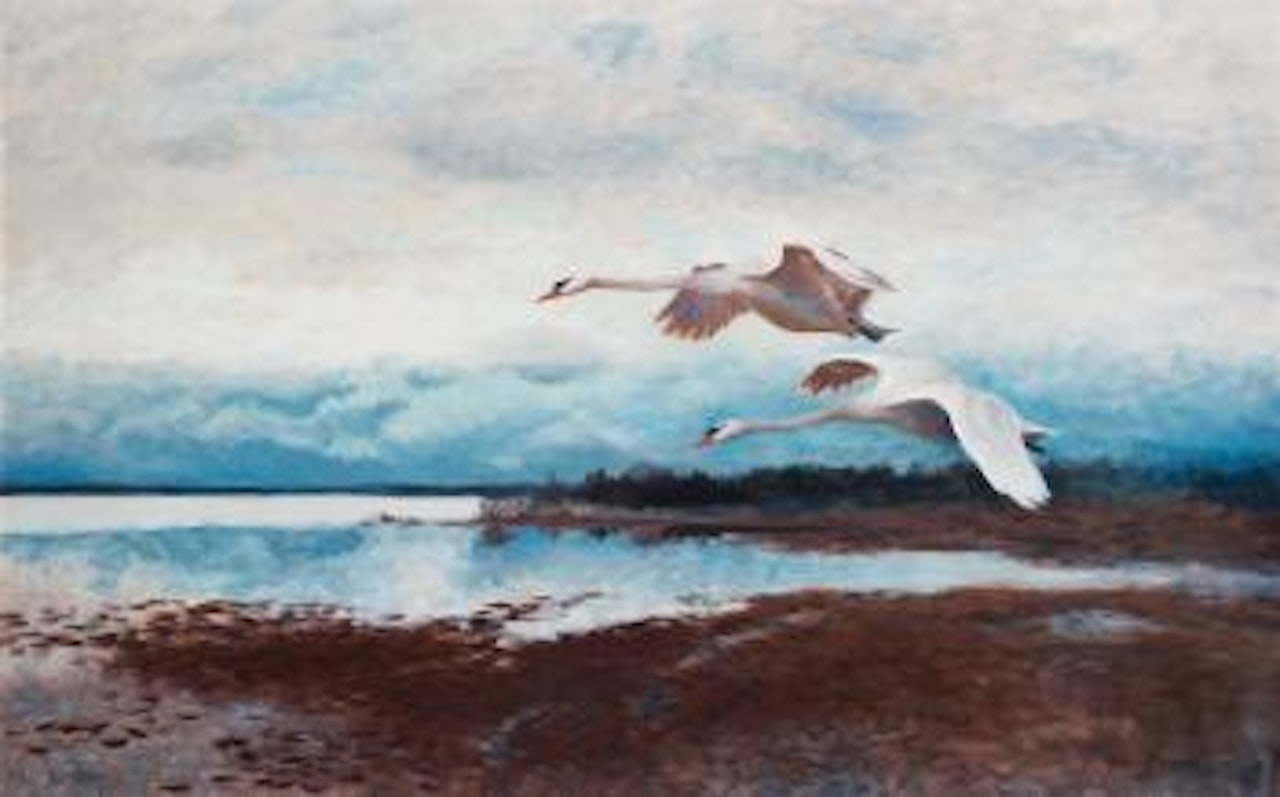 Swans in flight by Bruno Liljefors