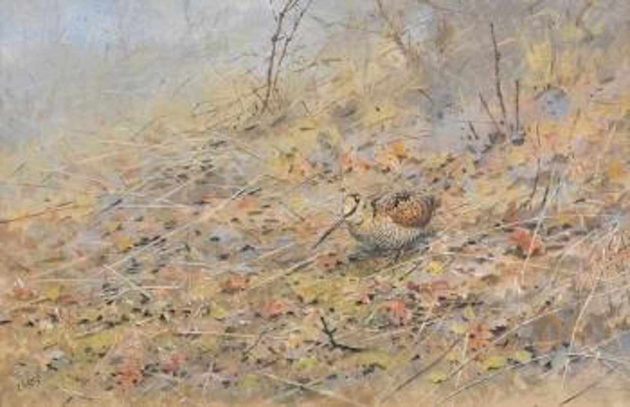 Woodcock by George Edward Lodge