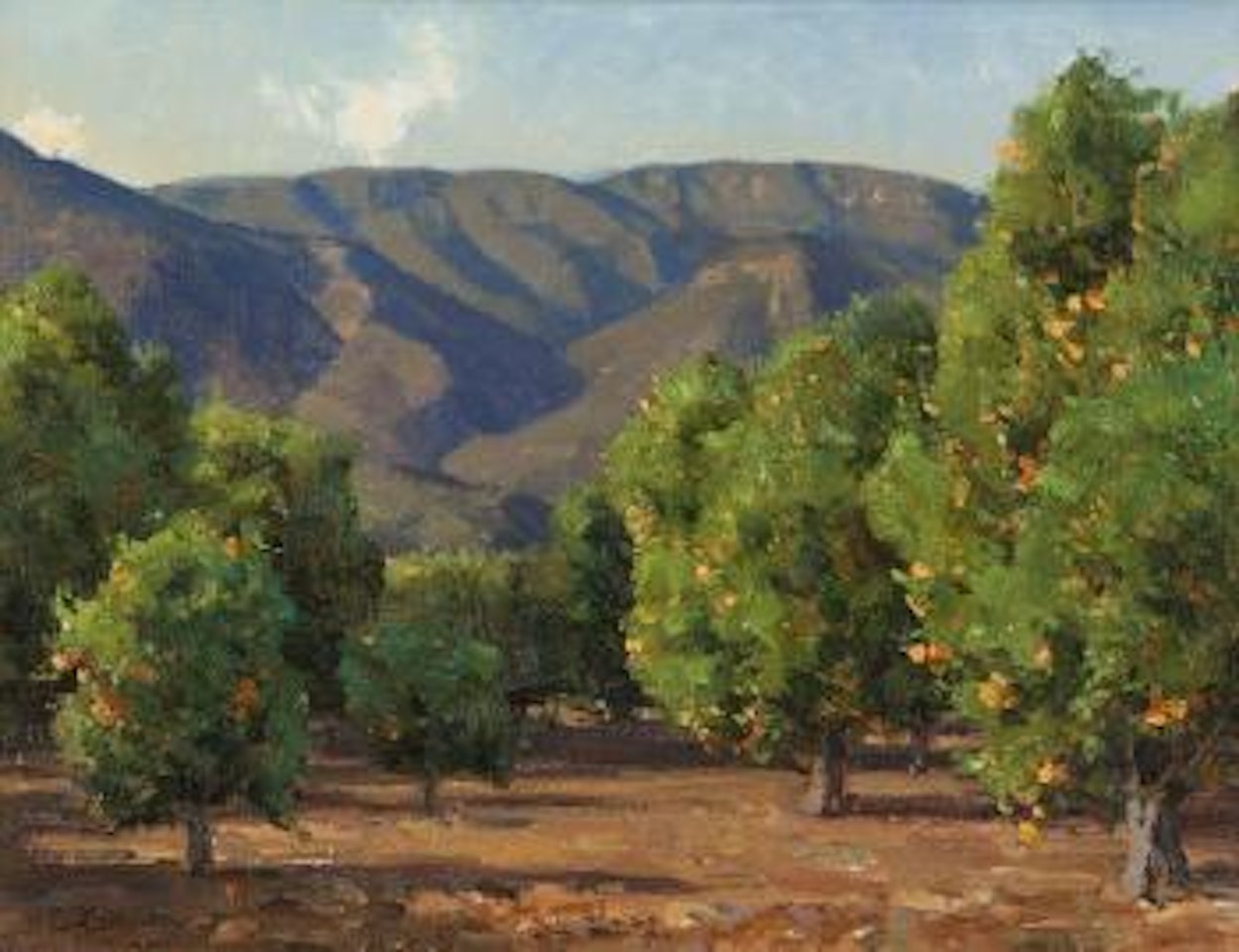 Ojai orange grove by Clyde Aspevig