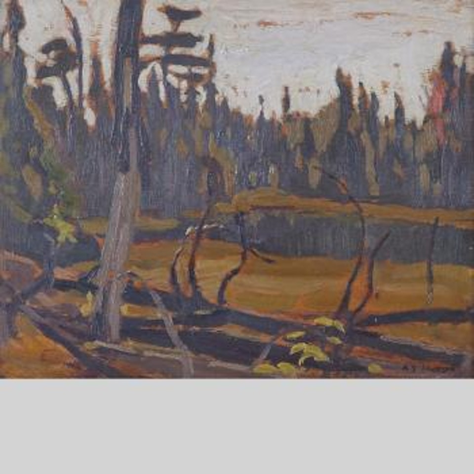 A beaver lake, Algoma by Alexander Young Jackson