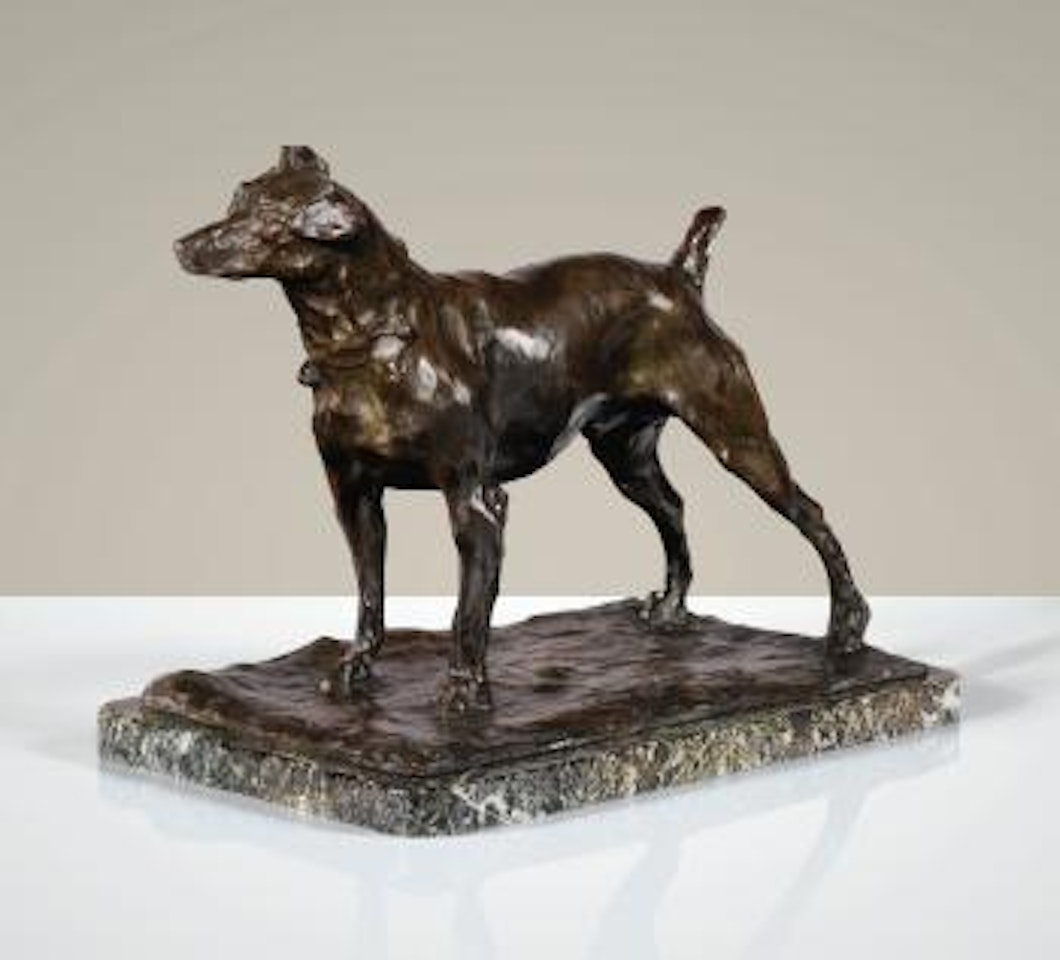 Royal Terrier by Rembrandt Bugatti