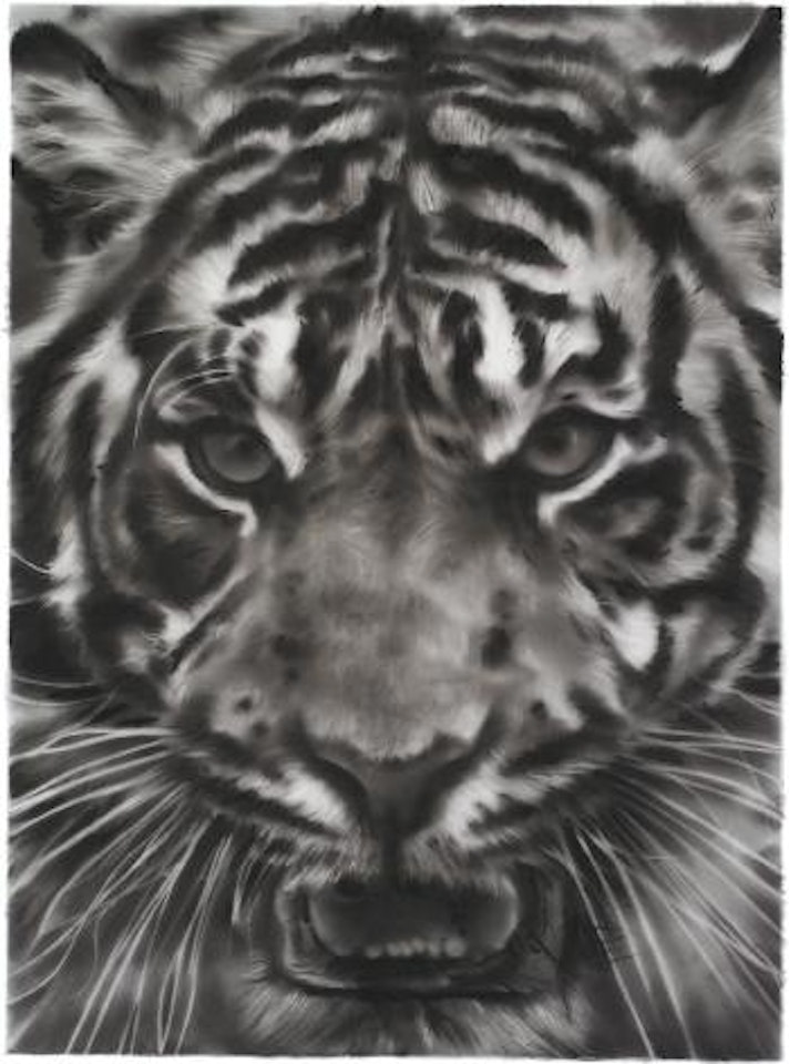 Study of Tiger Head 4B by Robert Longo