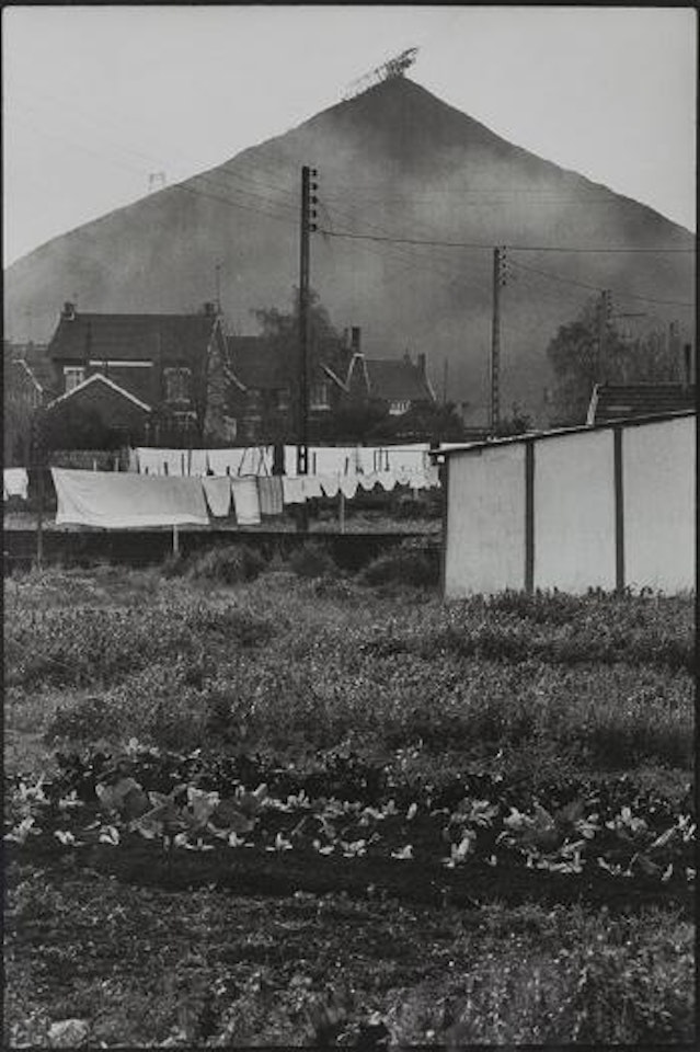 Paesaggio by Henri Cartier-Bresson