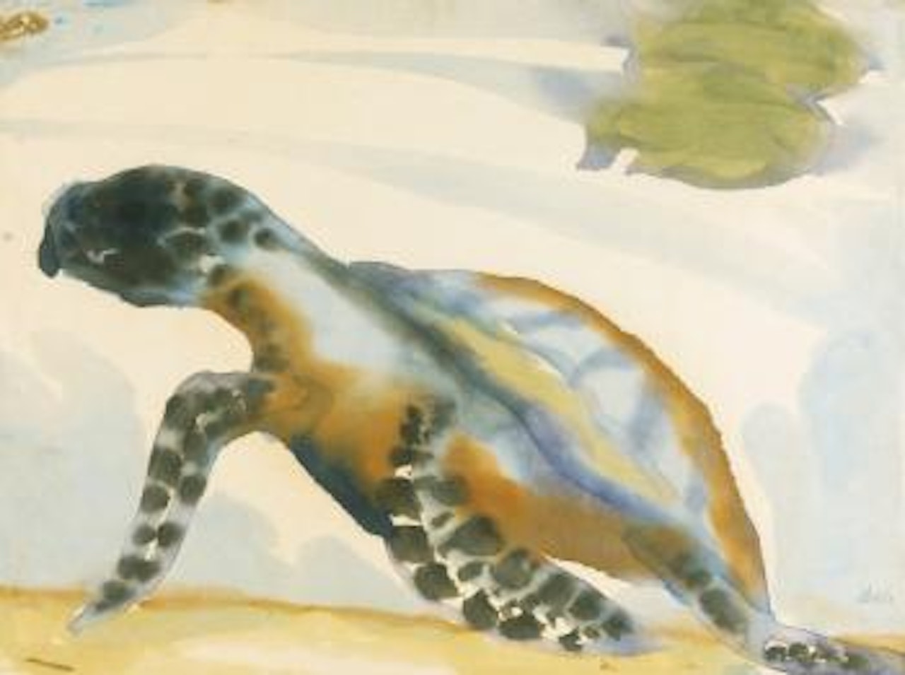 Schildkröte (Turtle) by Emil Nolde
