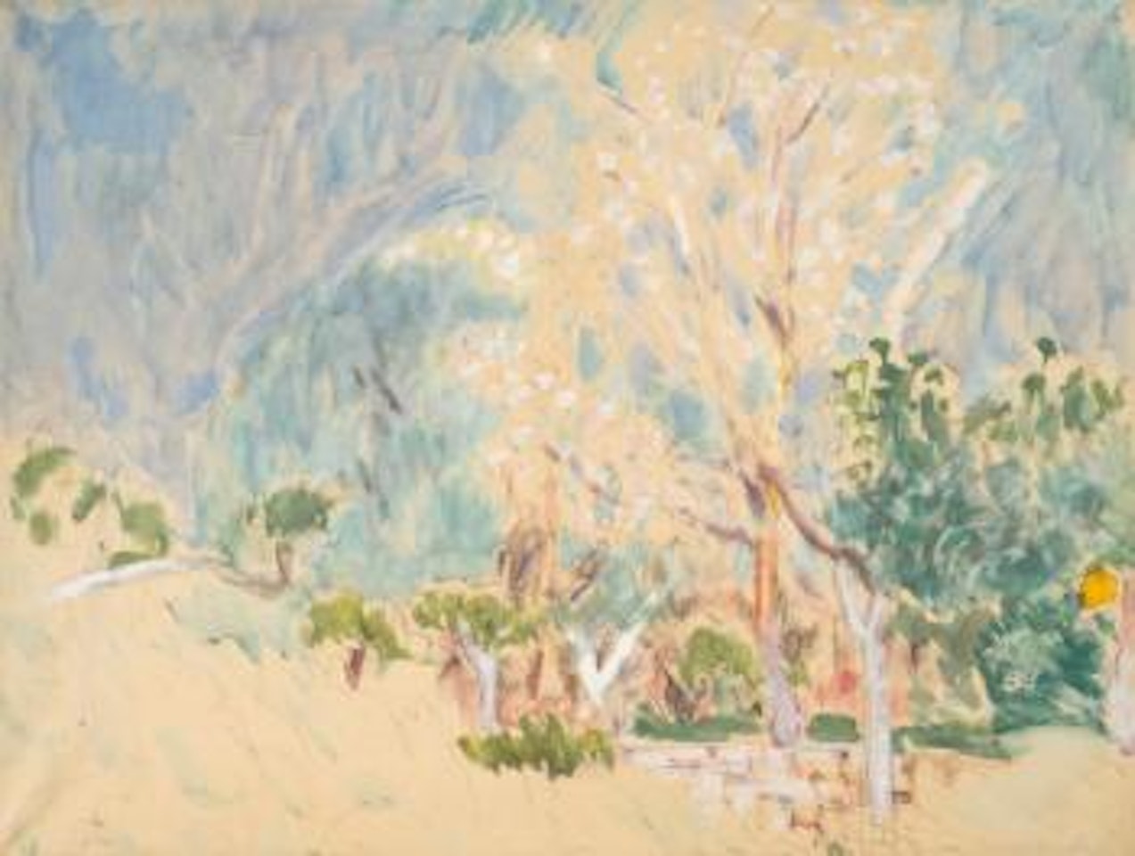 Paysage Au Cannet, Les Arbres Blancs by Pierre Bonnard