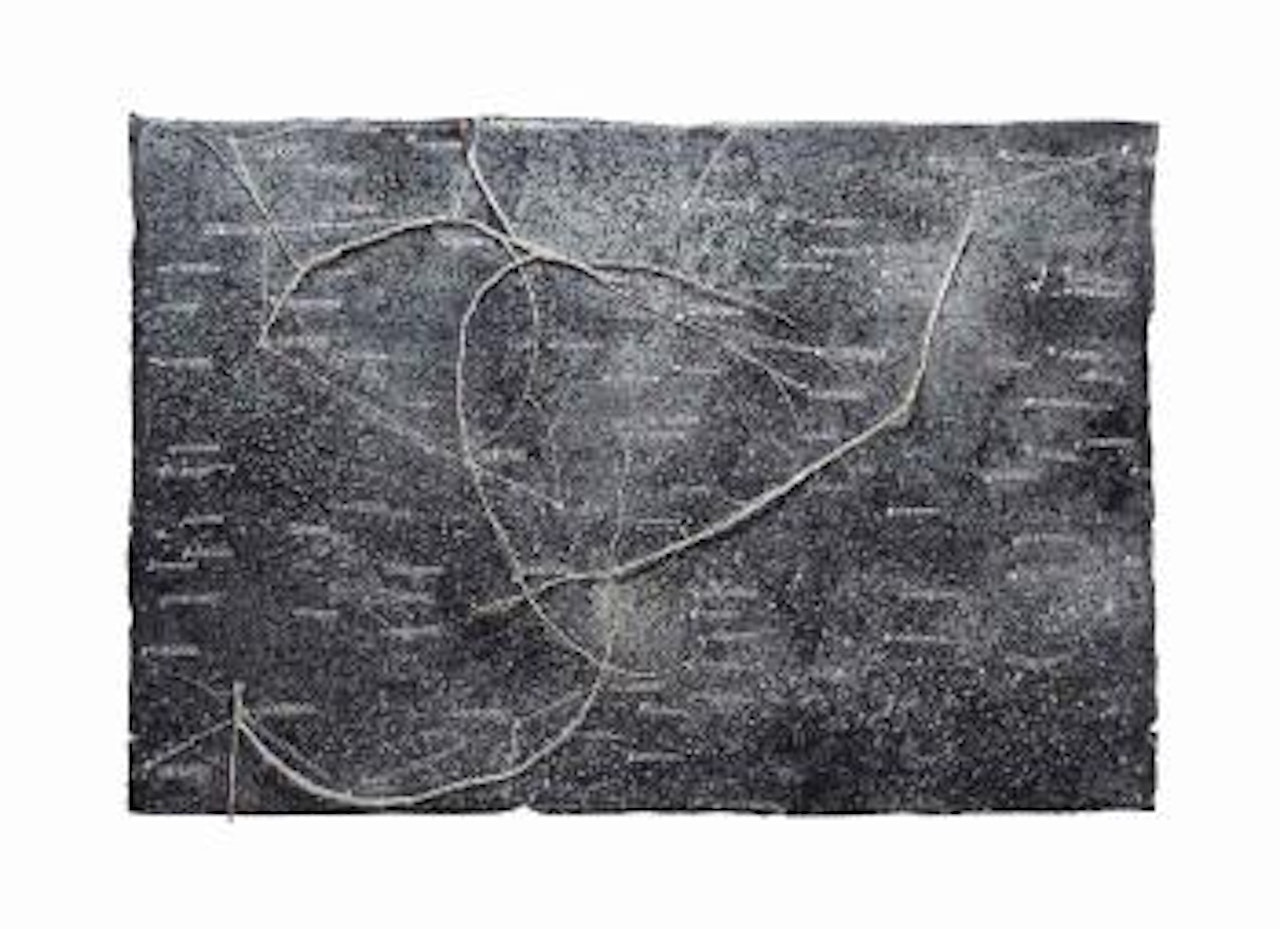 The Secret Life of Plants: Star Painting by Anselm Kiefer