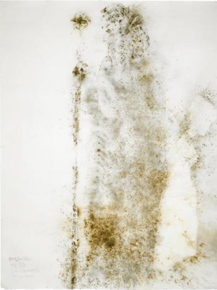 Life Beneath The Shadow: Major Weir by Cai Guo-Qiang