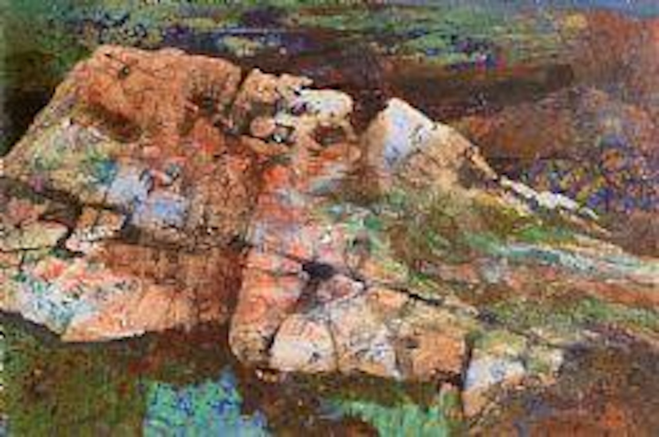 Rock garden, Clifden by Kenneth Webb