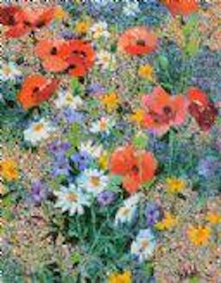 Wild meadow by Kenneth Webb