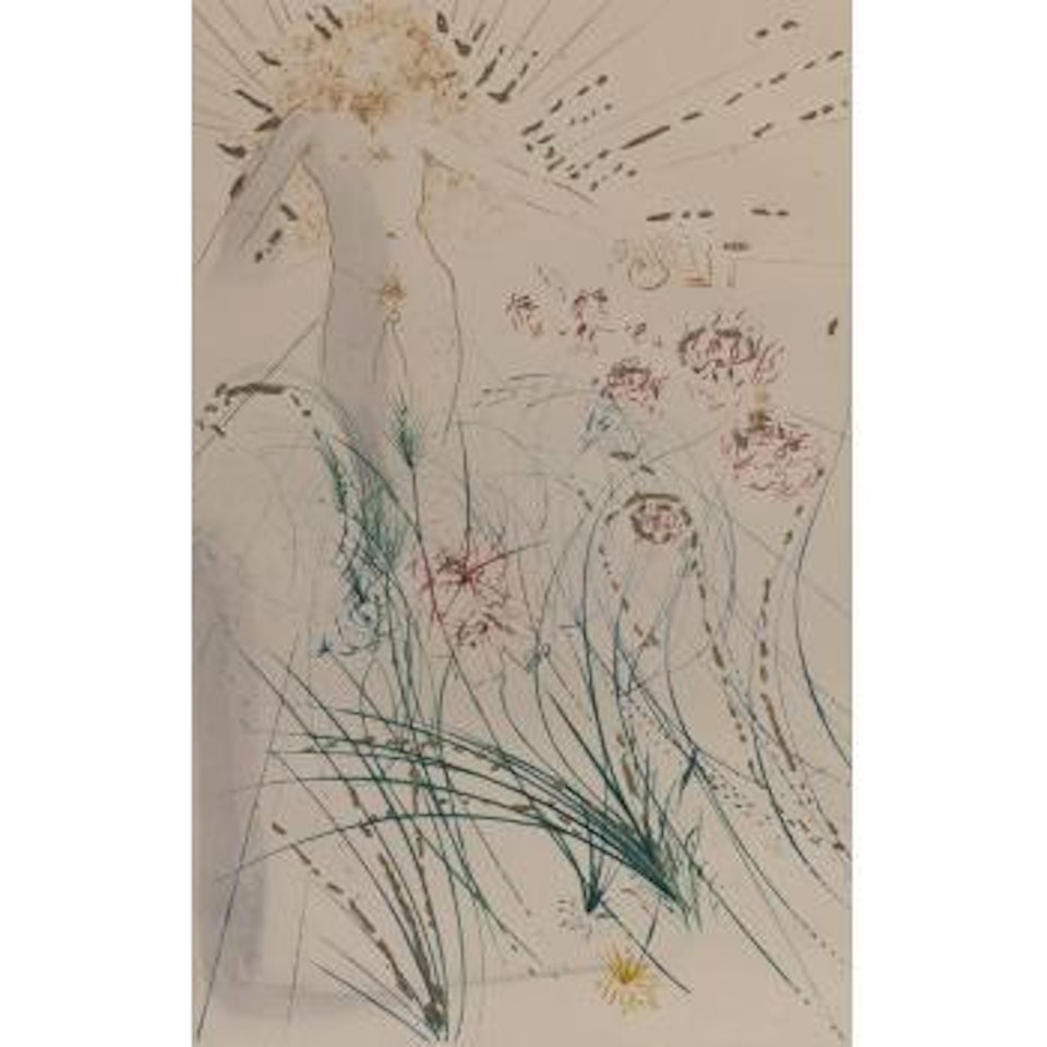 I am beloved by Salvador Dali