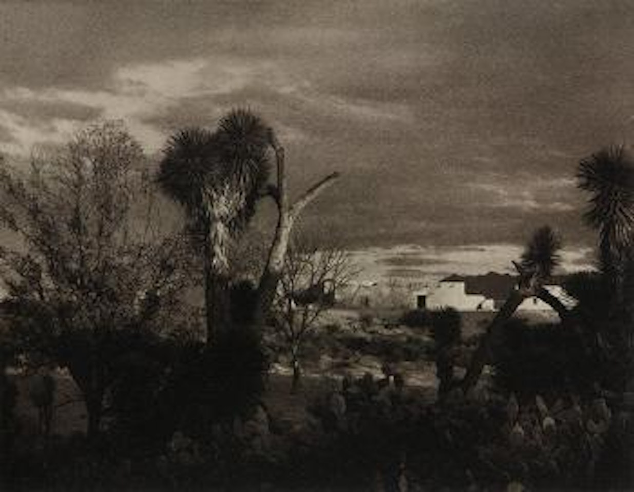Near Saltillo by Paul Strand