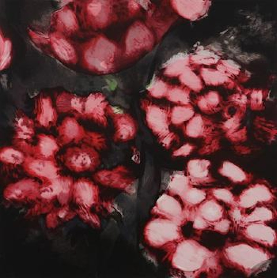 Roses by Donald Sultan