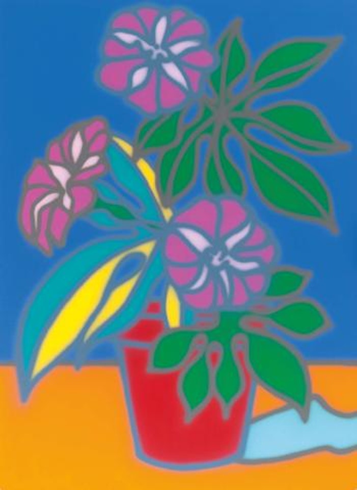 Untitled (Stillife [sic] Petunia) by Howard Arkley