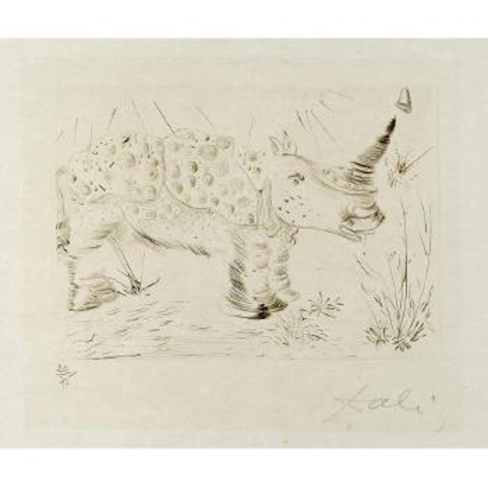 Rhinoceros (Michler & Lopsinger 282b) by Salvador Dali