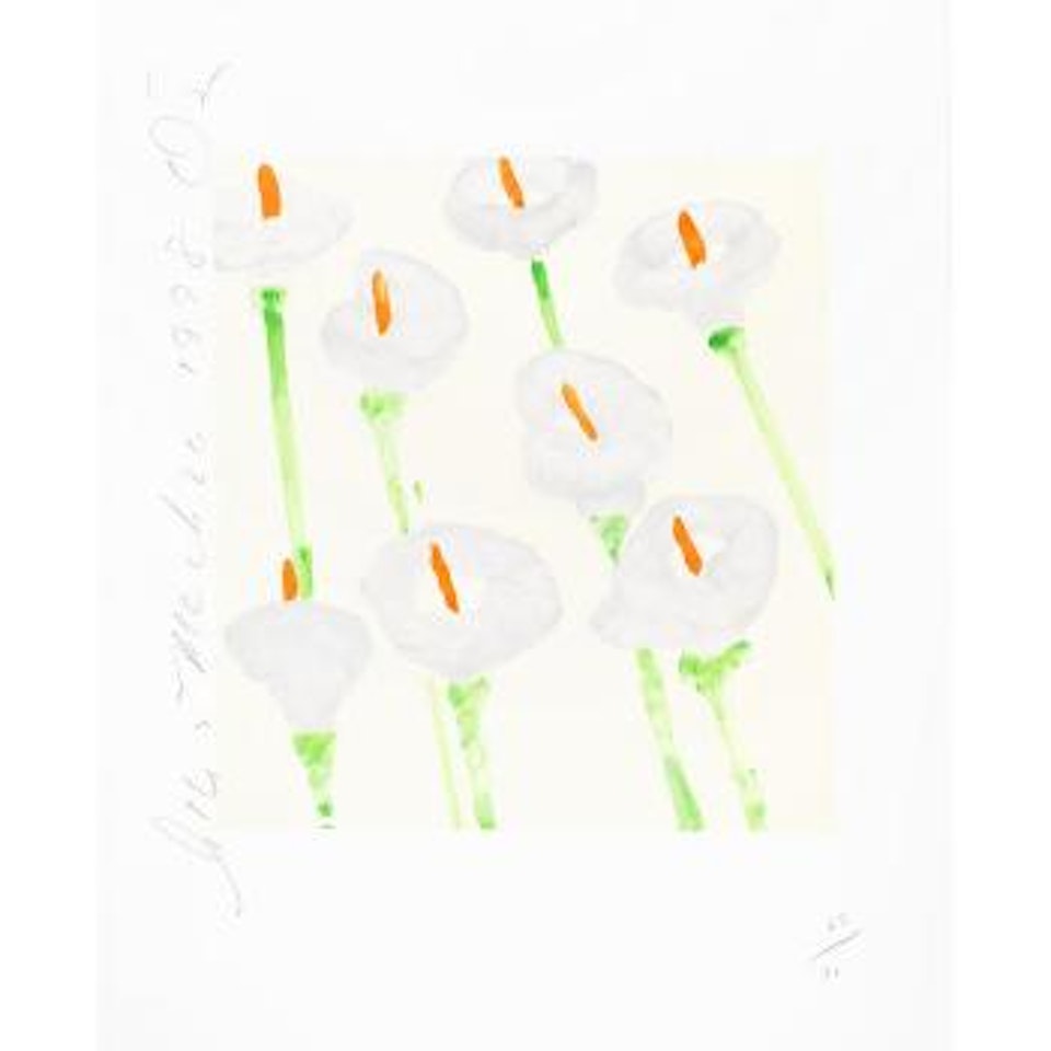 Lilies by Donald Sultan
