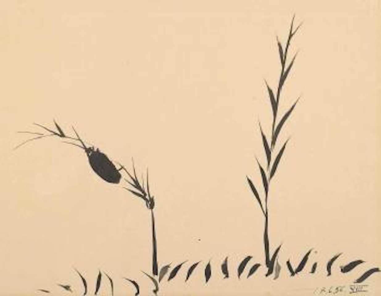 Plantes et insecte by Pablo Picasso