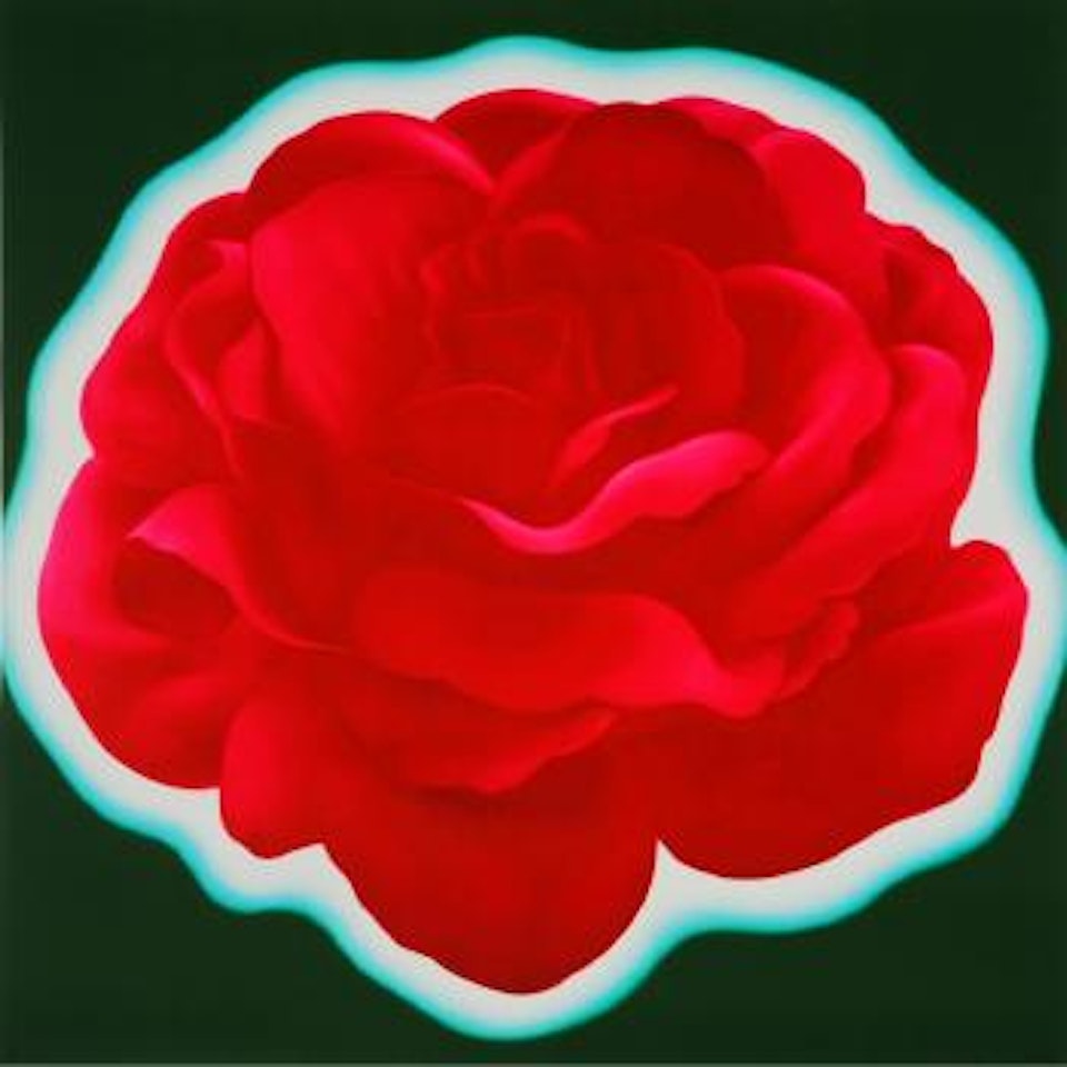 Life like flower no.01 2005-2007 by Feng Zhengjie
