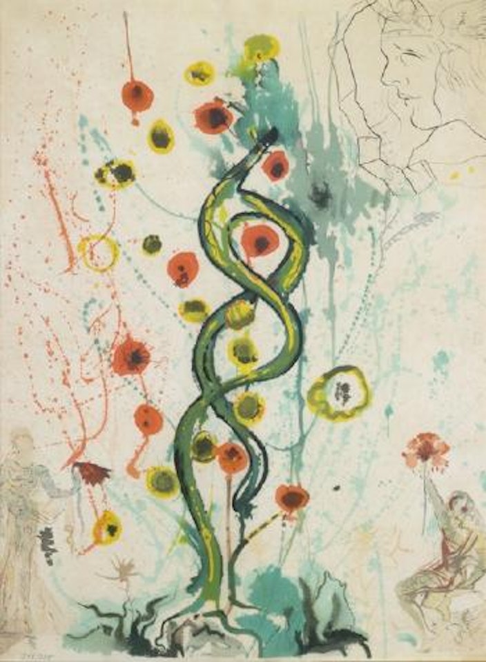 Le Songe D'un Alchimiste Ou L'arbre De Vie by Salvador Dali
