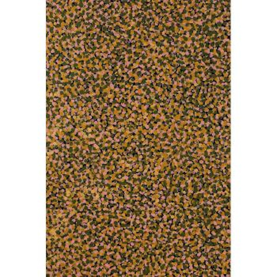 My Anooralya Story by Emily Kame Kngwarreye