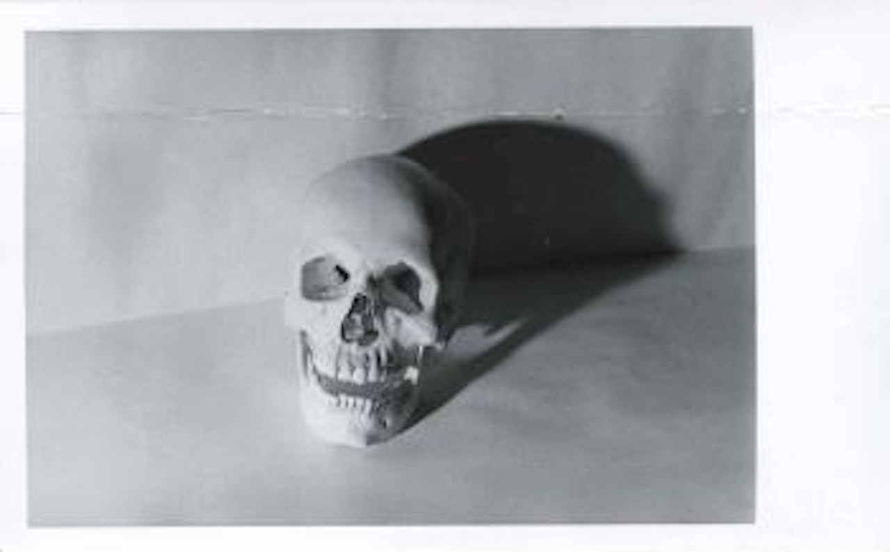 Skull by Andy Warhol