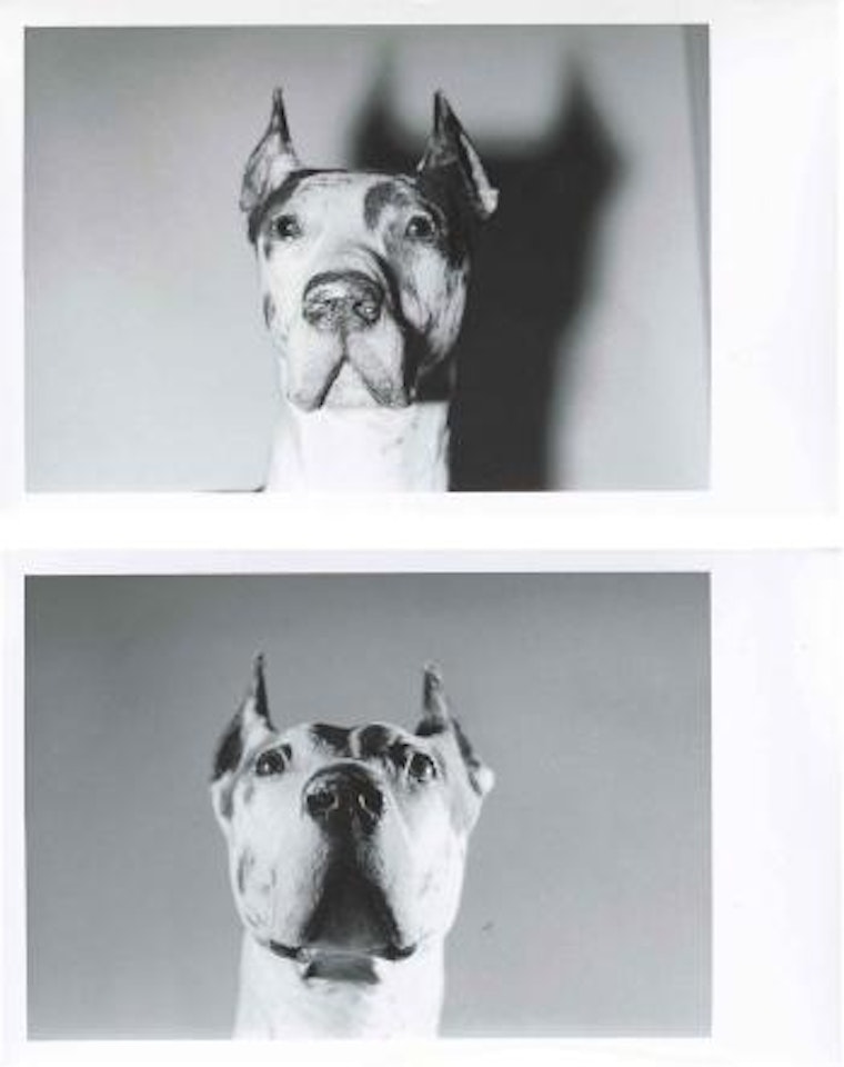 Dogs by Andy Warhol