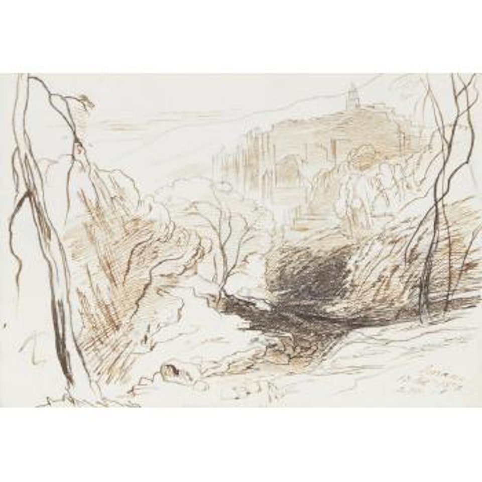 Ceriana by Edward Lear