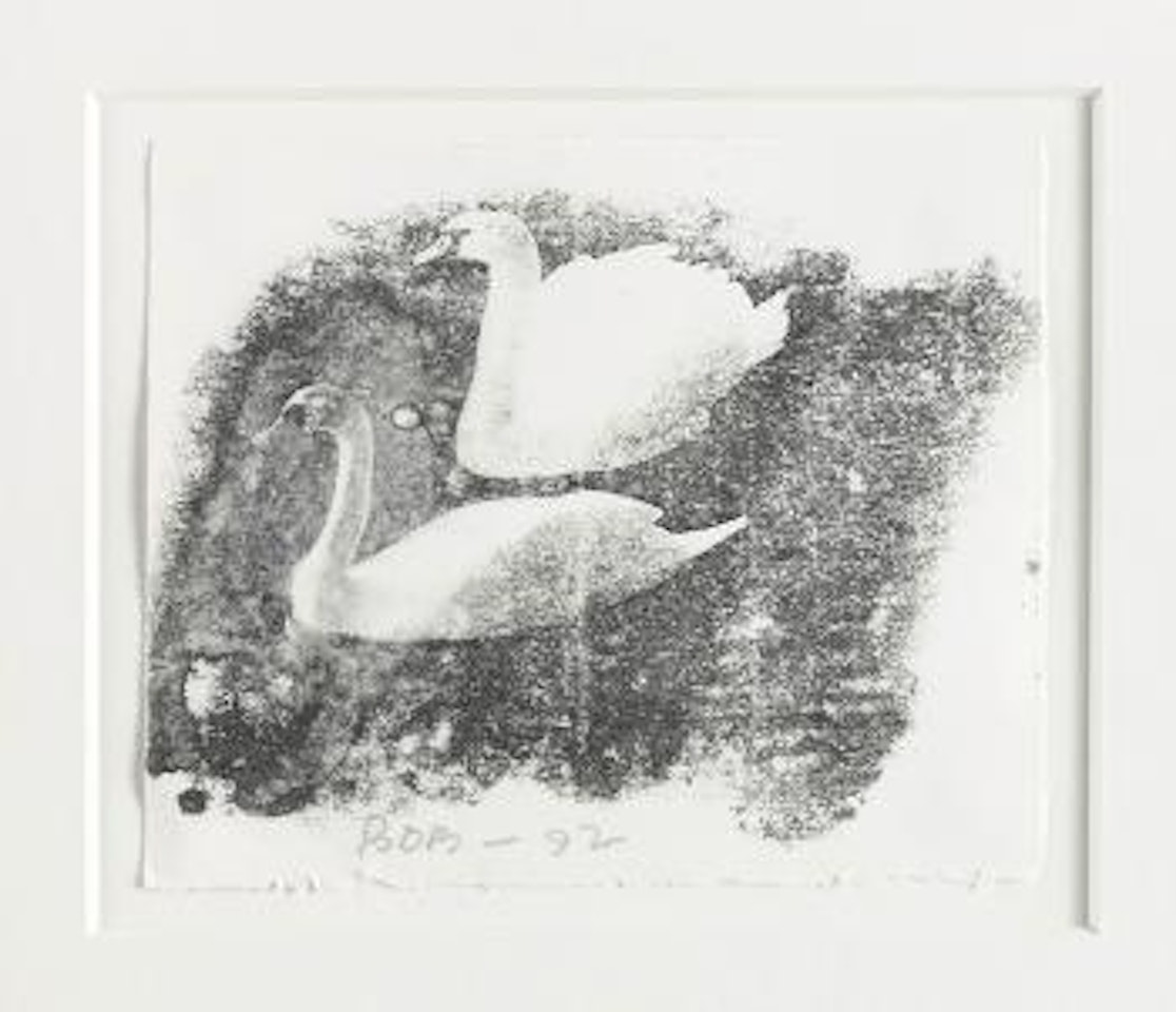 Zwei Schwäne by Robert Rauschenberg