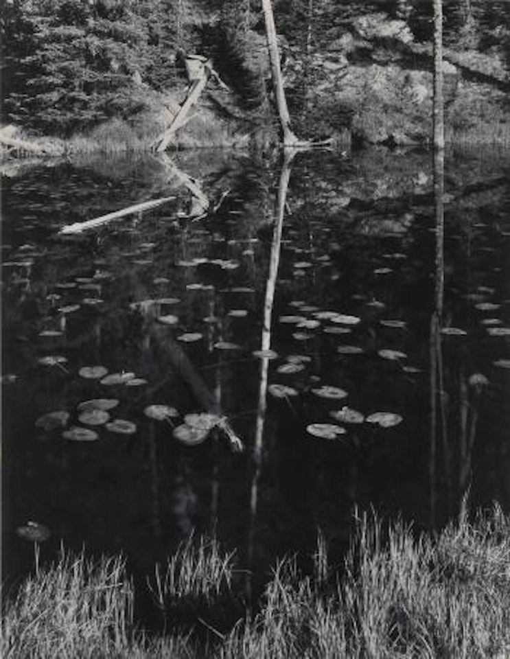 Pool, Yellowstone National Park, July 1965 by Ansel Adams