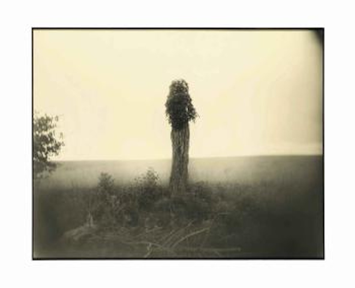 Untitled, from Mother Land by Sally Mann