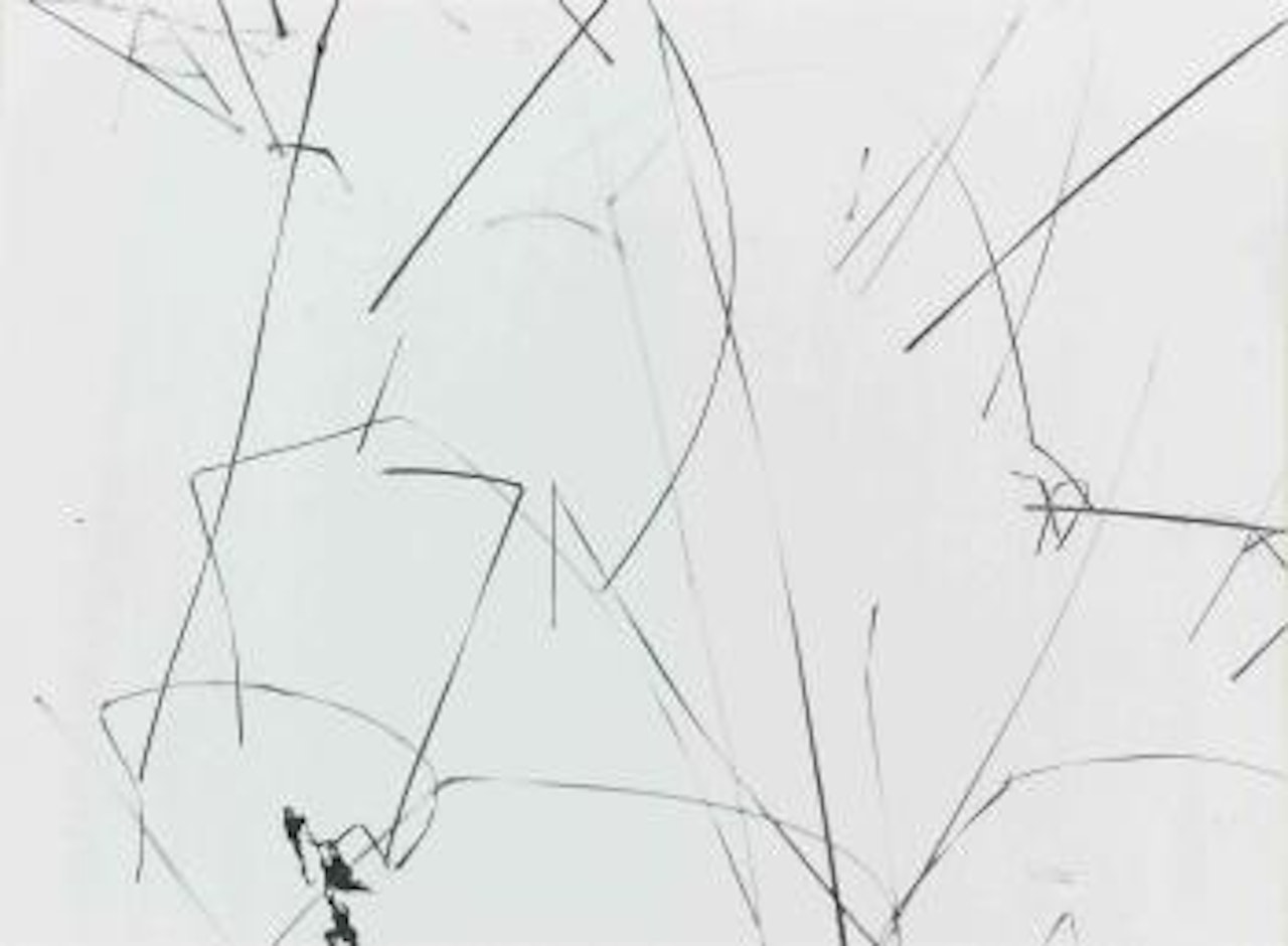 Grasses in Snow, Detroit by Harry Callahan