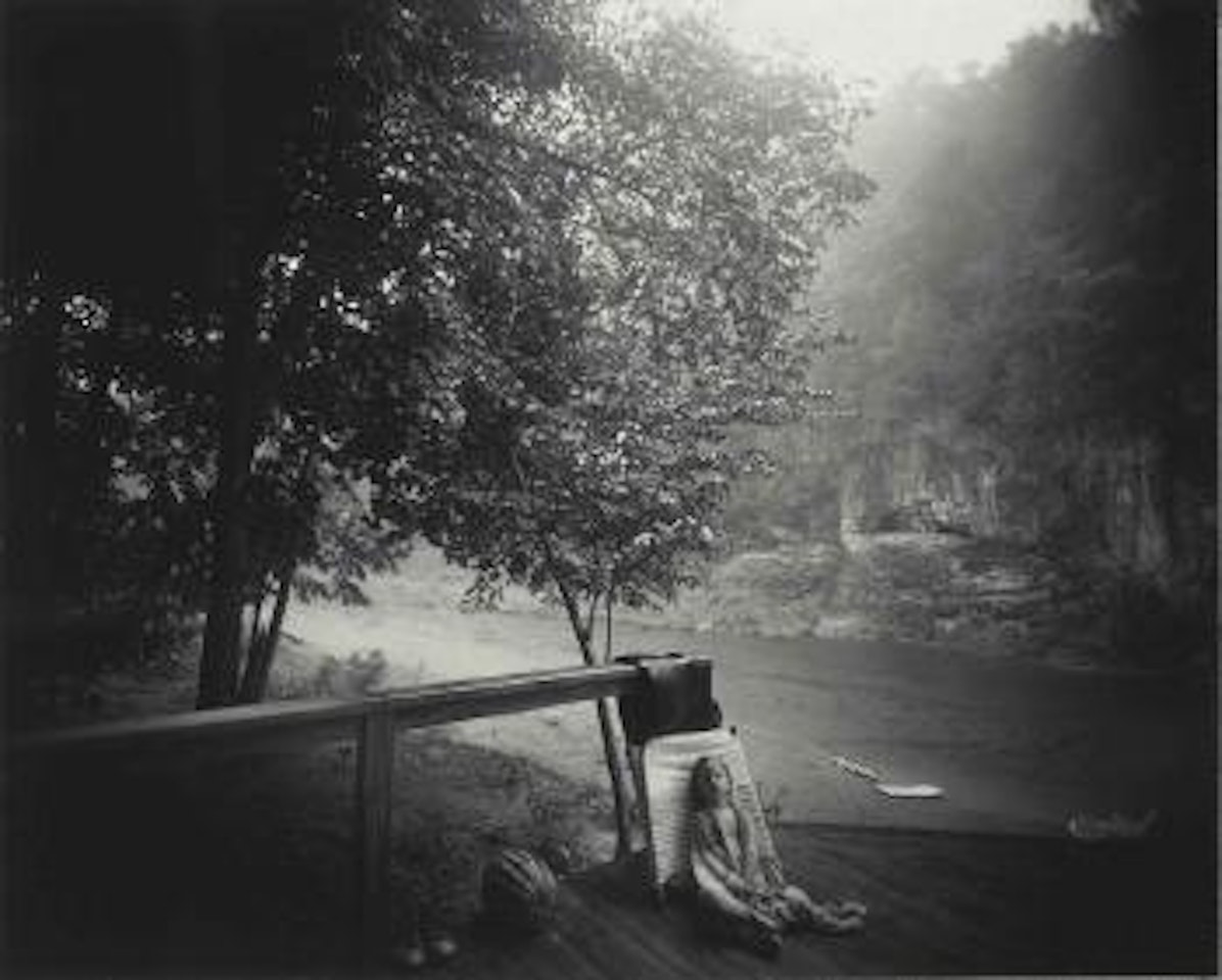 The Alligator's Approach by Sally Mann