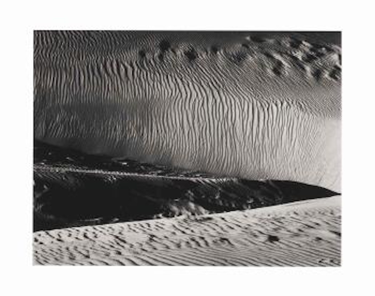 Dunes, Oceano by Edward Weston
