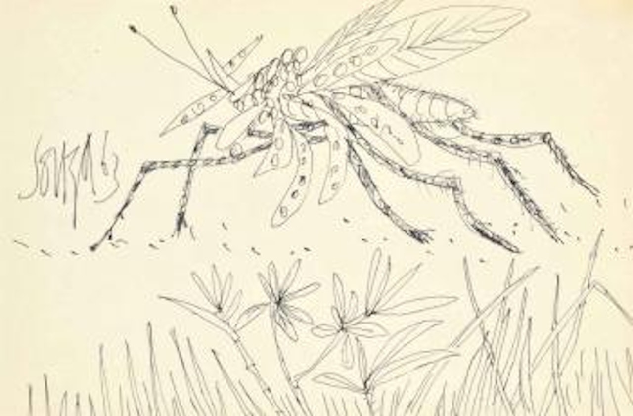 Untitled (Mosquito) by Francis Newton Souza