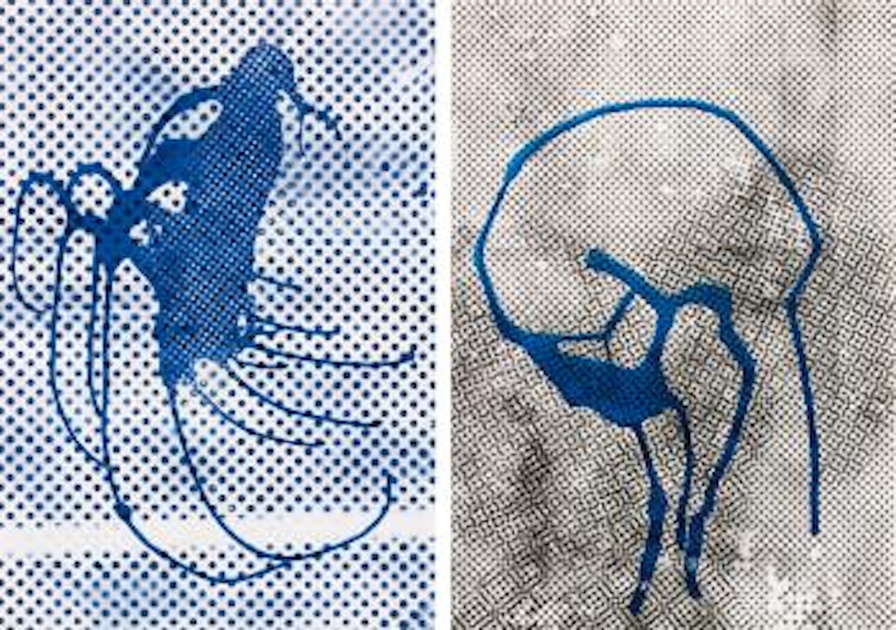 Untitled [Two works] by Sigmar Polke