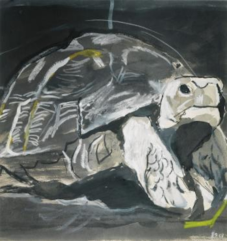 Tortue by Graham Sutherland