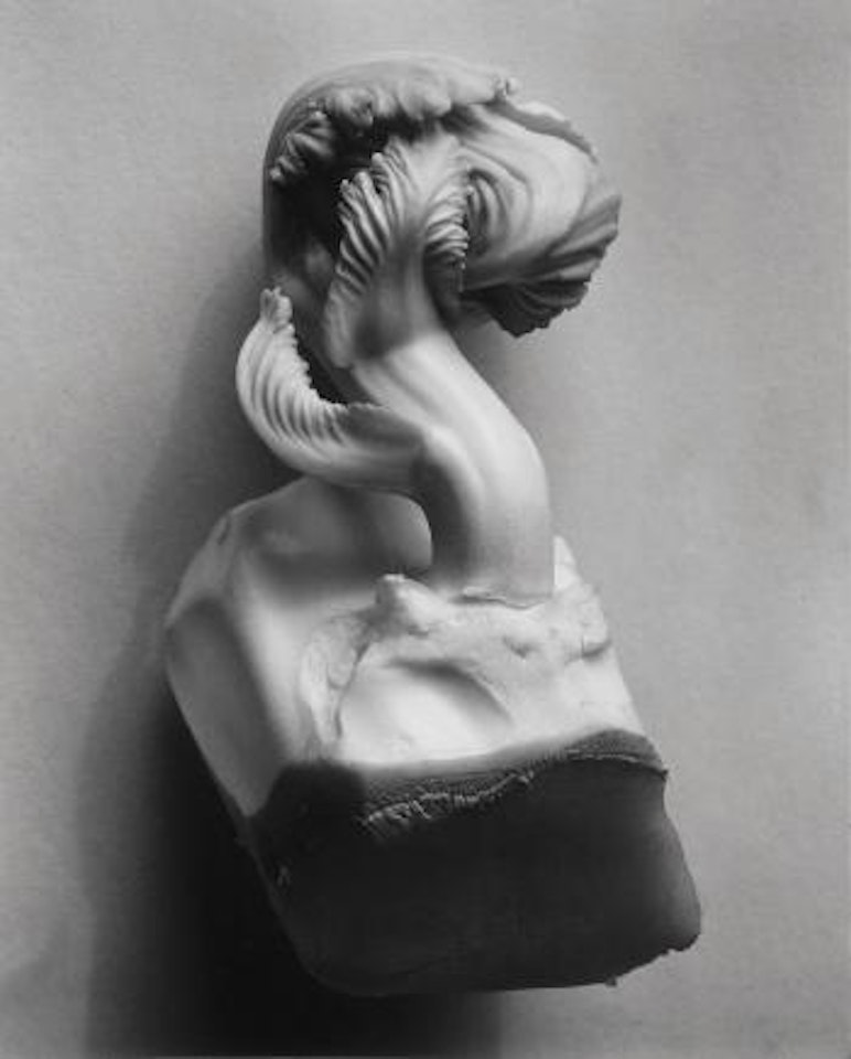 Cabbage Fragment, 1931 by Edward Weston