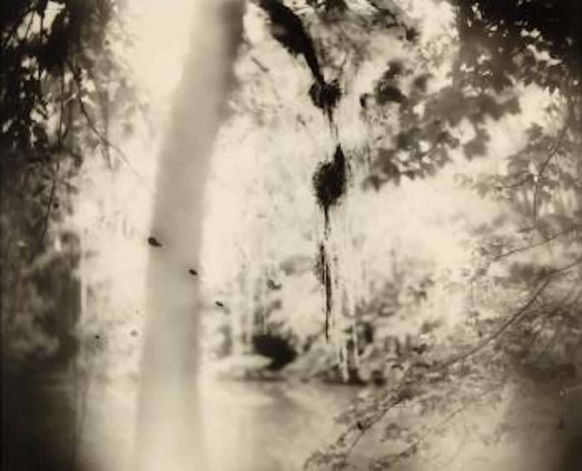 Untitled from Deep South, 1998 by Sally Mann