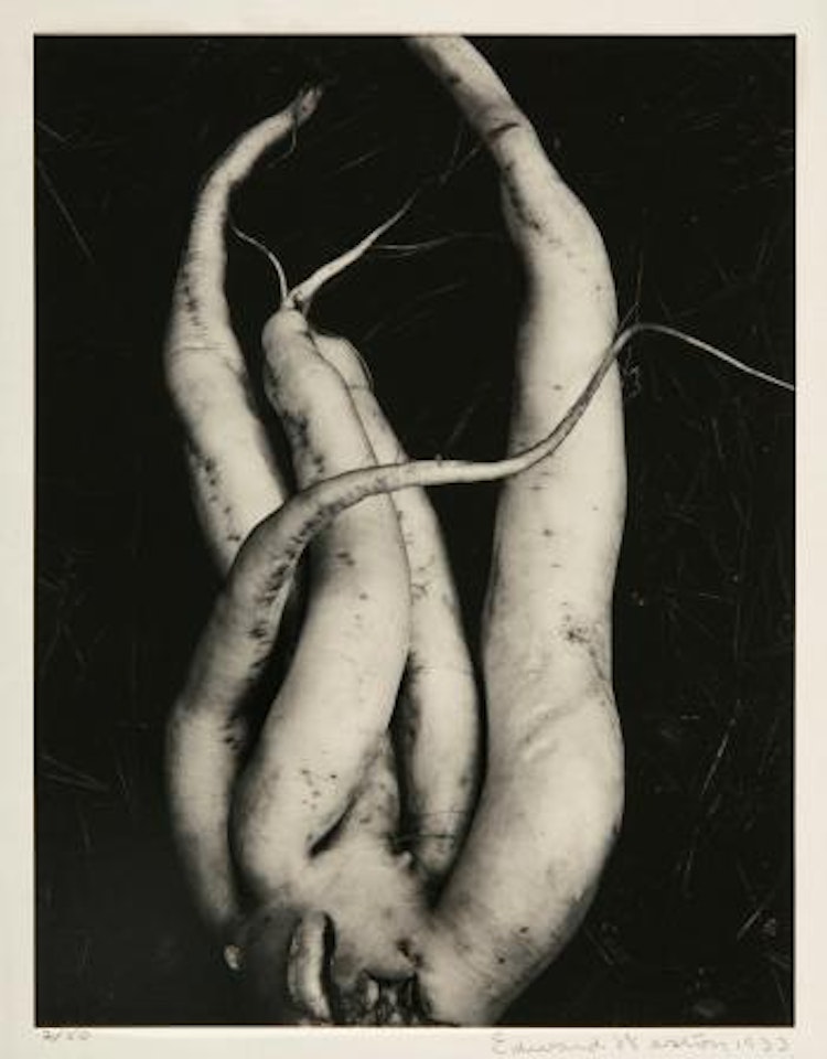 White Radish by Edward Weston