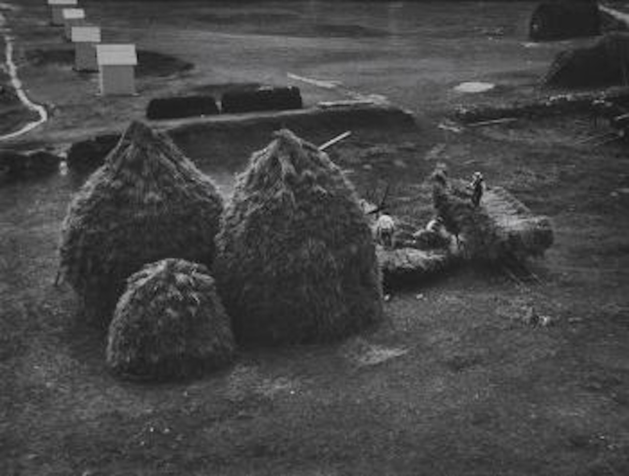 Bringing In The Hay, Brittany by André Kertész