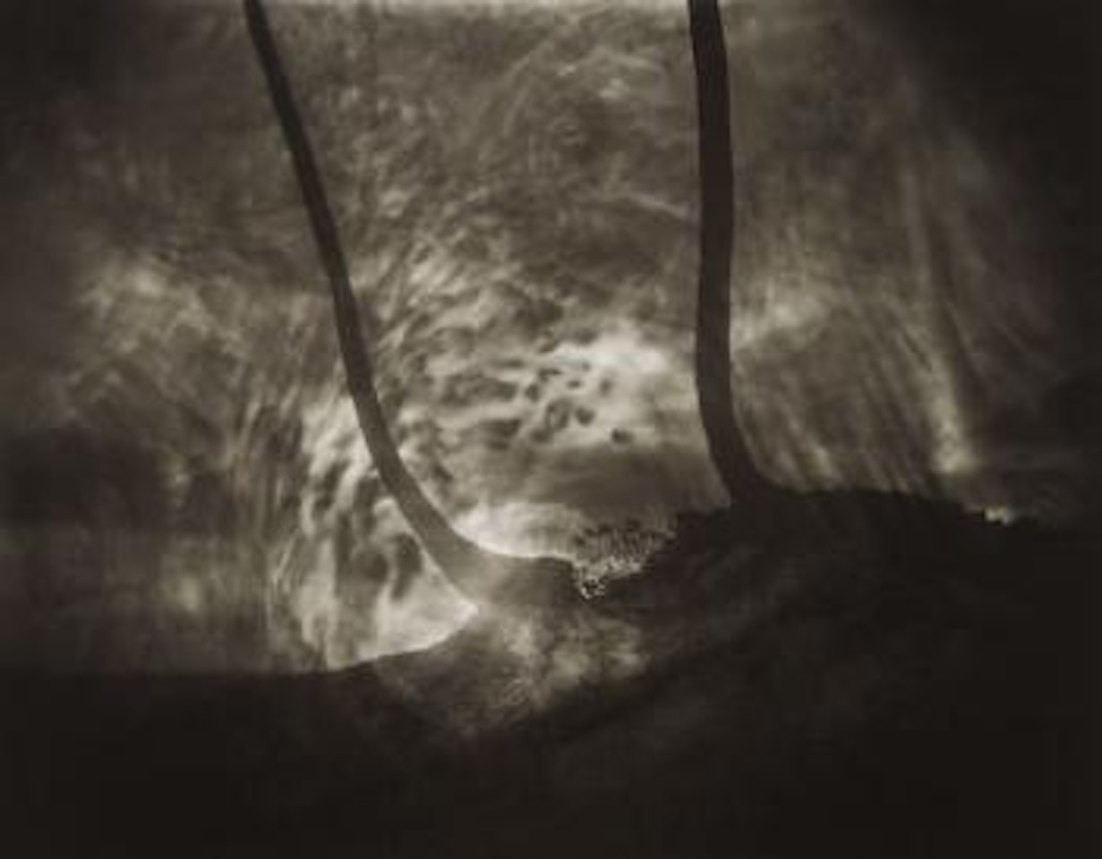 Untitled by Sally Mann