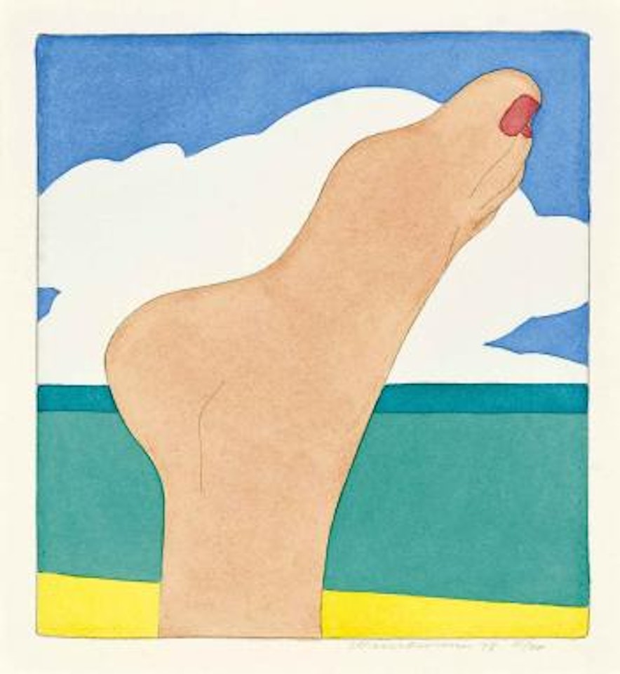 Foot, from: Seascape by Tom Wesselmann