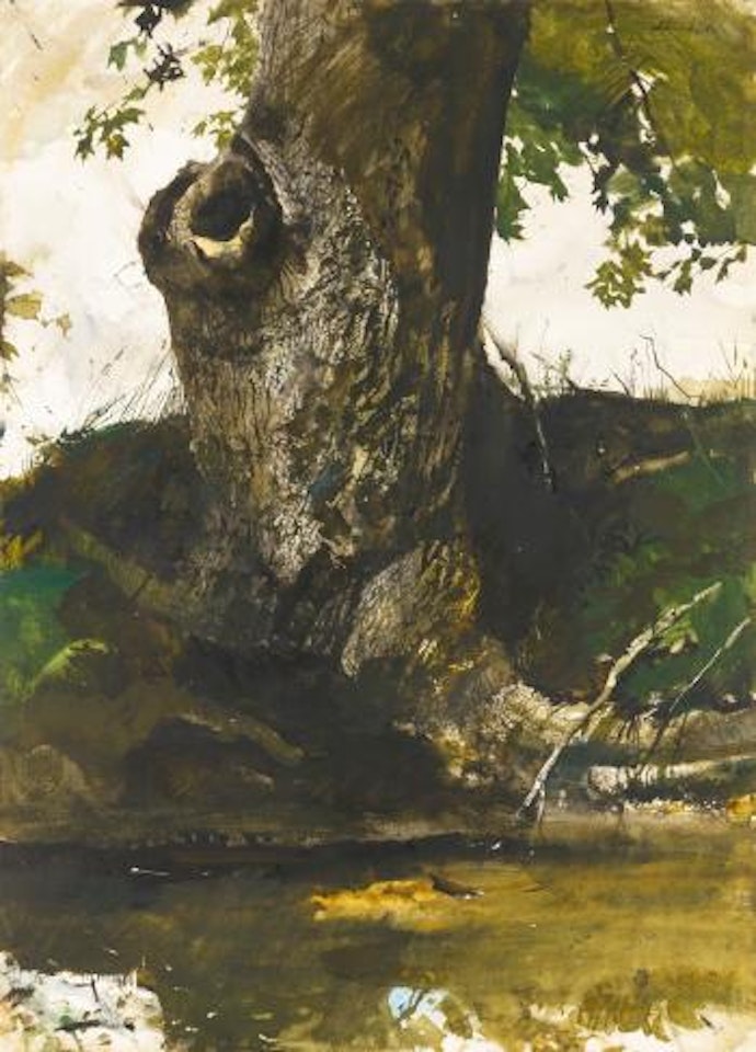 Along the Tail Race by Andrew Wyeth
