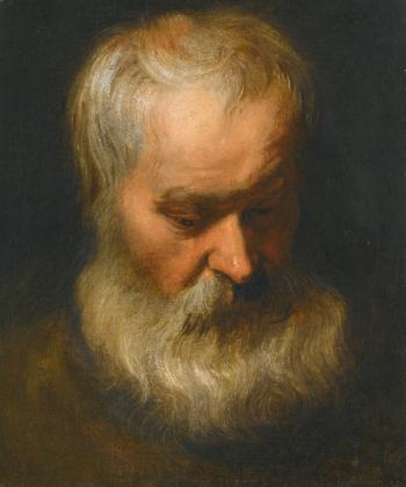 Head study of a bearded Man by Anthony van Dyck