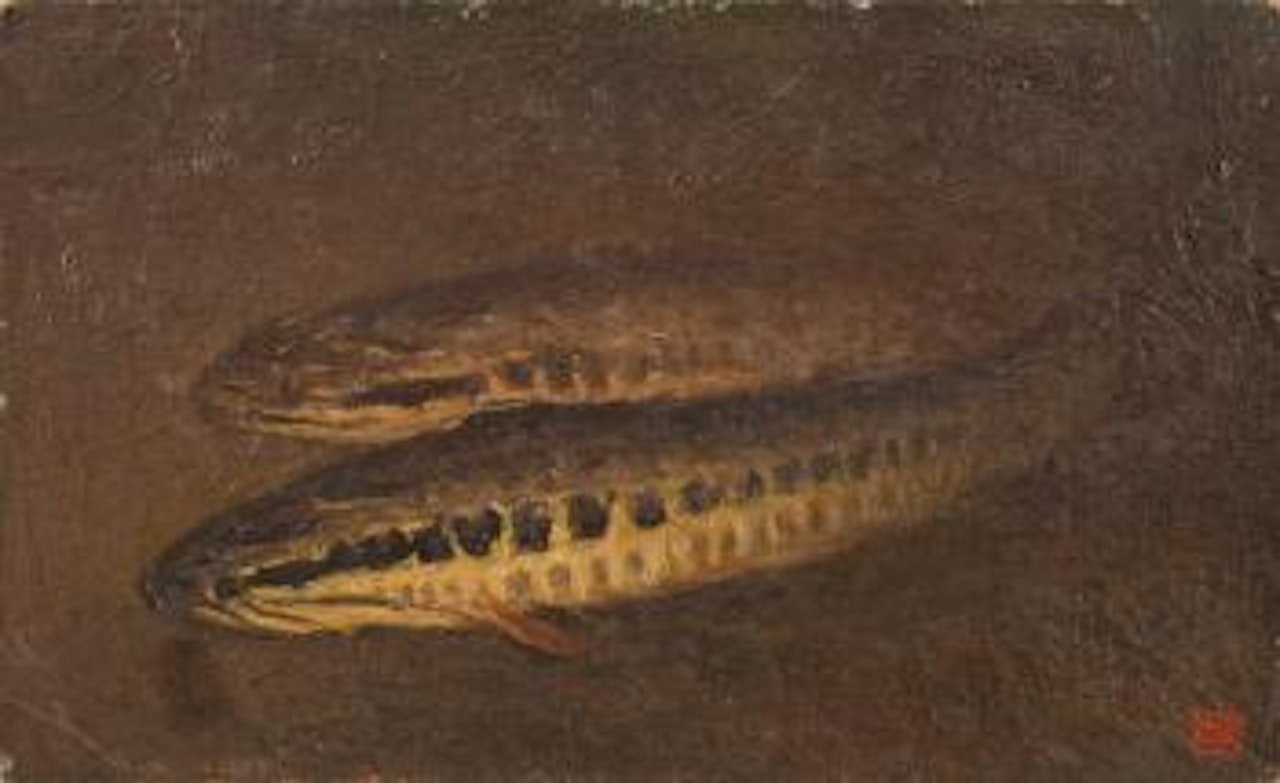 Snakehead Fish by Yee Bon
