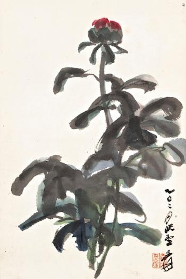 Herbaceous Peony by Zhang Daqian