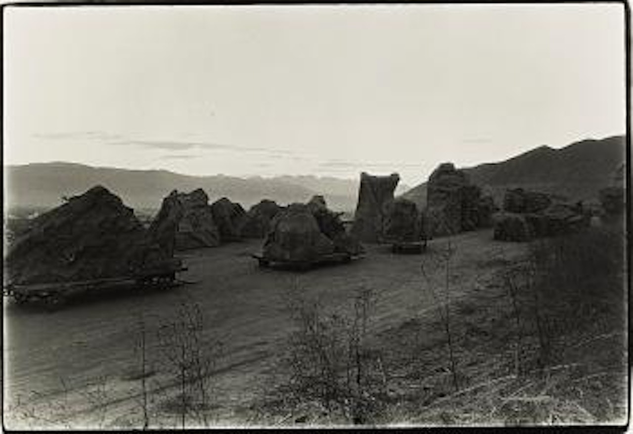 Rocks on Wheels, Disneyland, Cal. by Diane Arbus by Neil Selkirk