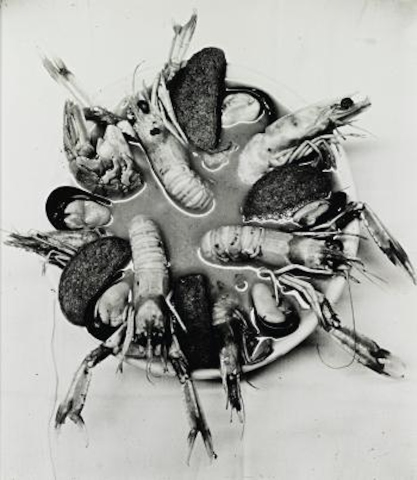 Bouillabaisse, Los Caracoles, Barcelona by Irving Penn