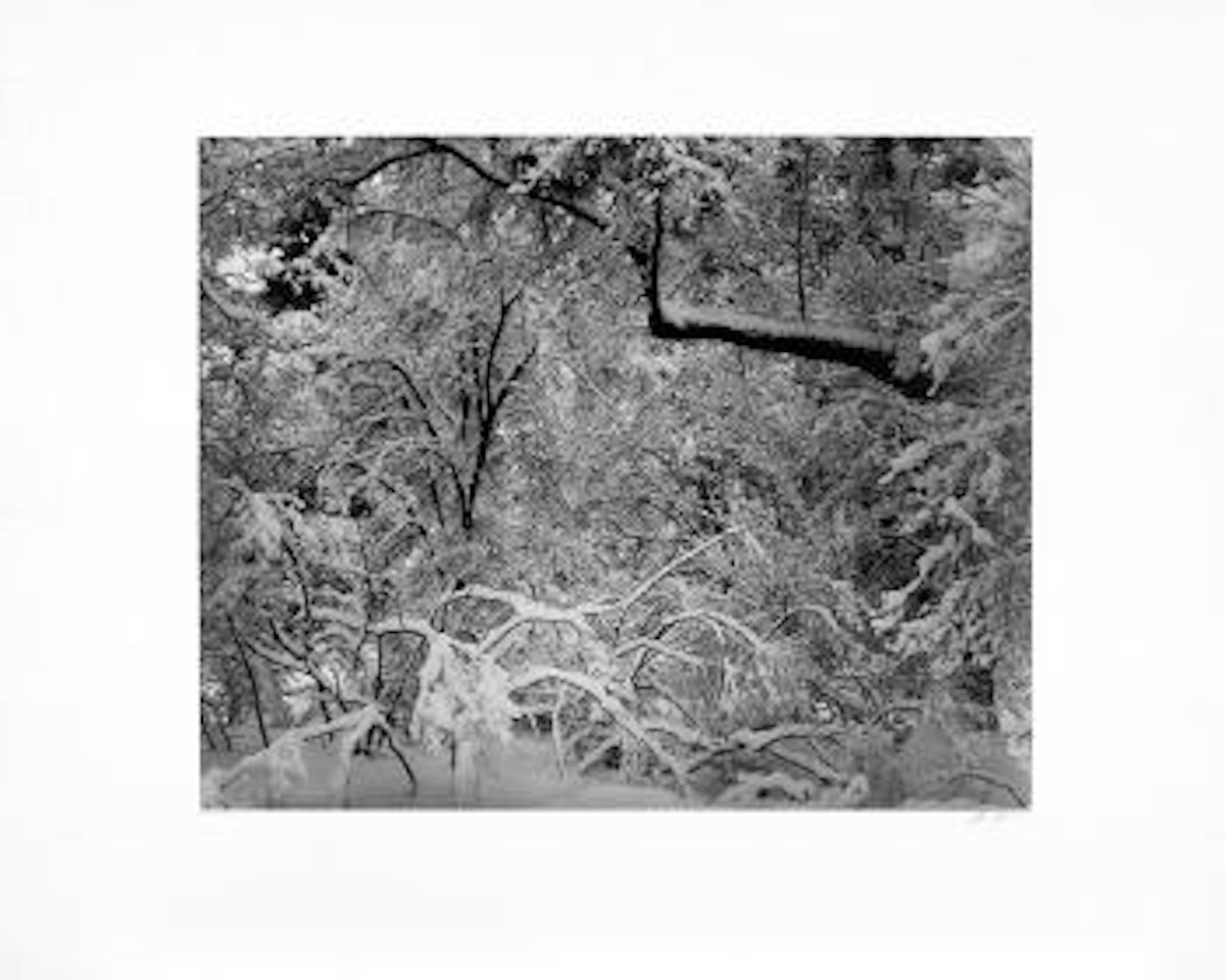 Fresh snow, Yosemite valley by Ansel Adams